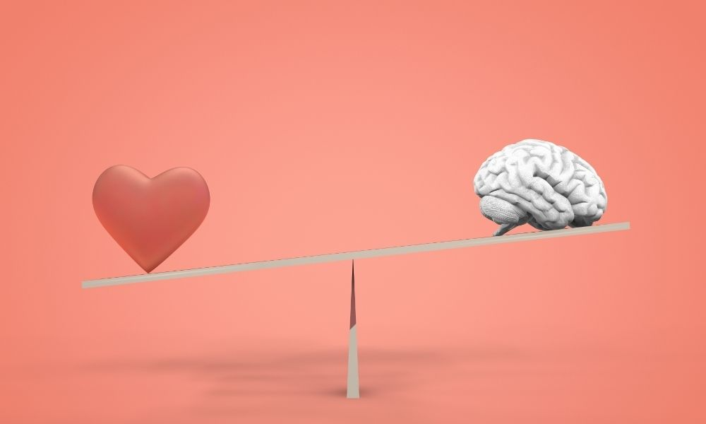 Akıl mı Duygu mu?
