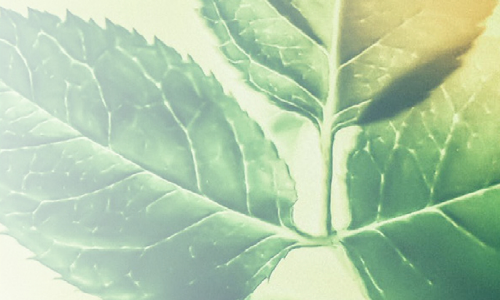 BOYNER Grup İnsan Odaklı Sürdürülebilirlik Raporunu Yayınladı 